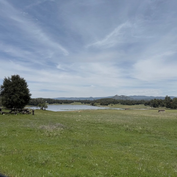 Meet your Posher, Eliza - Picture 2 of 2